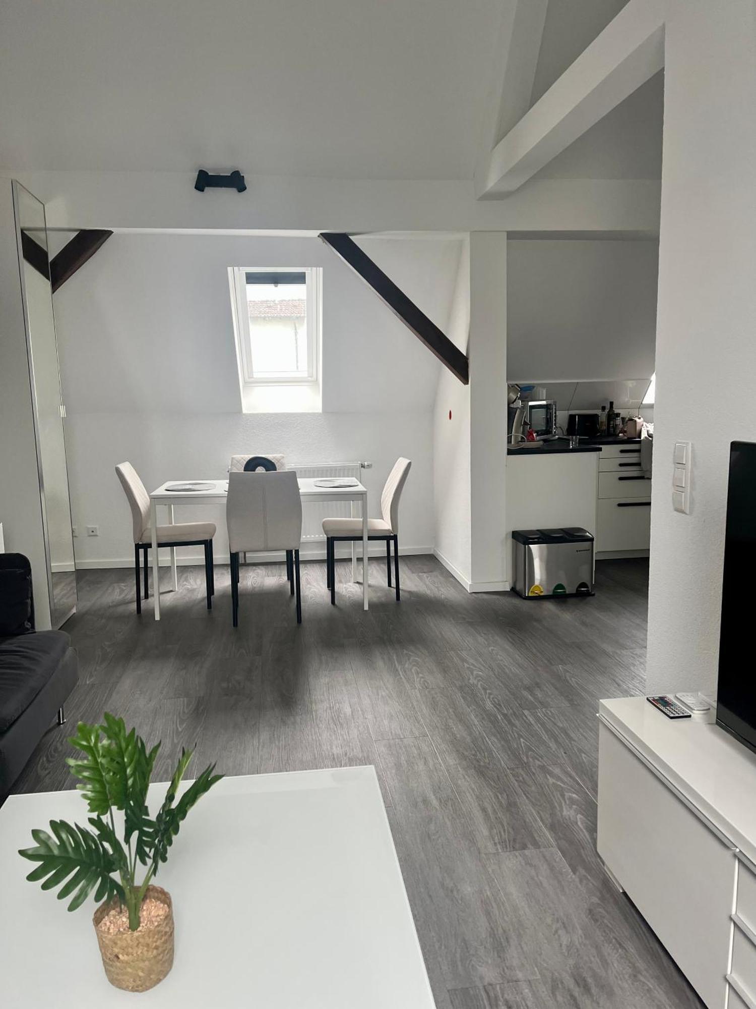 Rk-Lounge,2- Zimmer Wohnung - Modern Und Stylisch Baden-Baden Exterior photo